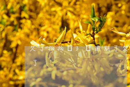 欠了拍拍貸3萬逾期了(欠了拍拍貸3萬逾期了)