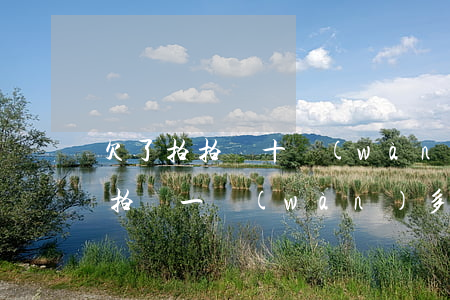 欠了拍拍貸十萬(wàn)逾期怎么辦(欠拍拍貸一萬(wàn)多逾期了他會(huì)去老家催款嗎?)