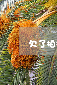 欠了拍拍貸本金加利息三千(拍拍貸3萬利息)