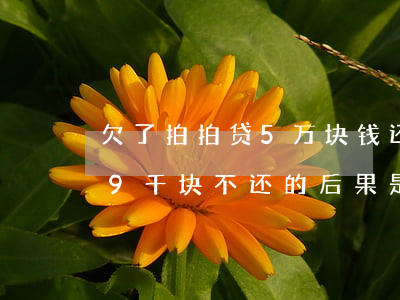 欠了拍拍贷5万块钱还不起(拍拍贷欠款2万9千块不还的后果是什么?)