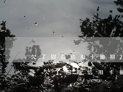 欠了招商信用卡逾期2個(gè)月的后果-欠了招商信用卡逾期2個(gè)月的后果是什么