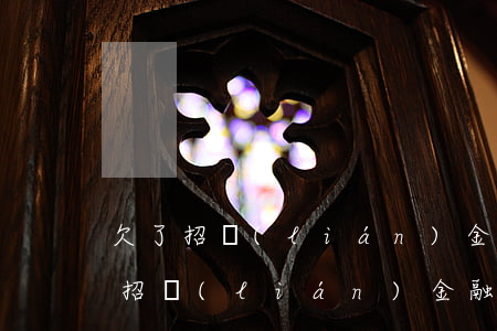 欠了招聯(lián)金融3萬元要坐牢嗎(招聯(lián)金融欠一萬元錢沒還被告了會抓起來嗎)