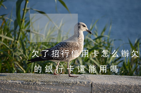 欠了招行信用卡怎么辦(欠招商銀行的錢,招商的銀行卡還能用嗎)