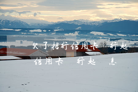 欠了招行信用卡銀行起訴怎樣辦-欠了招行信用卡銀行起訴怎樣辦理呢