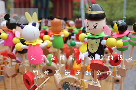 欠了支付宝网商贷的钱(支付宝网商贷欠钱了暂时无法还怎么办)