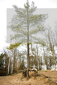 欠了支付寶信用卡網(wǎng)貸(欠了一大堆網(wǎng)貸信用卡還不上)