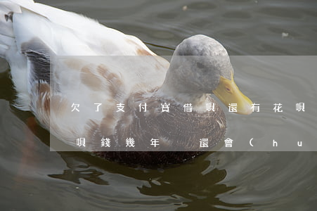欠了支付寶借唄還有花唄一年了-欠花唄借唄錢幾年沒還會(huì)不會(huì)扣其他未綁定的銀行卡