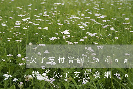 欠了支付寶網(wǎng)商貸還不上怎么辦-欠了支付寶網(wǎng)商貸還不上怎么辦呢