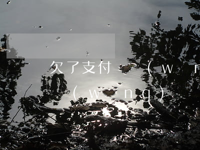 欠了支付寶網(wǎng)貸還不起(支付寶網(wǎng)貸還不上最壞結(jié)果)