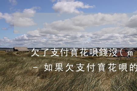 欠了支付寶花唄錢沒(méi)錢還坐牢嗎-如果欠支付寶花唄的錢沒(méi)還有什么后果