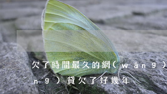 欠了時間最久的網(wǎng)貸(網(wǎng)貸欠了好幾年)