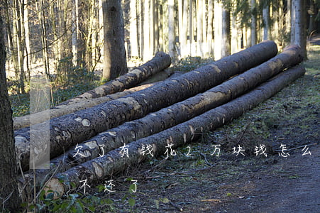 欠了有钱花2万块钱怎么办(有钱花欠1万多不还了)