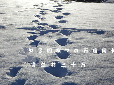 欠了朋友70万信用卡和网贷(欠信用卡加网贷总共三十万)