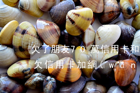 欠了朋友70萬信用卡和網(wǎng)貸(欠信用卡加網(wǎng)貸總共三十萬)