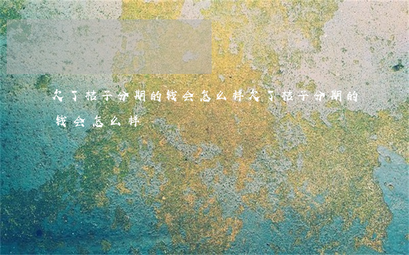 欠了桔子分期的钱会怎么样(欠了桔子分期的钱会怎么样)