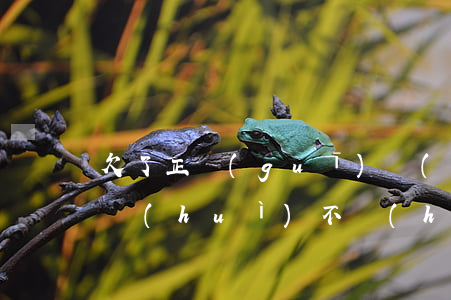 欠了正規(guī)網(wǎng)貸的錢會(huì)不會(huì)被起訴-欠了正規(guī)網(wǎng)貸的錢會(huì)不會(huì)被起訴呢