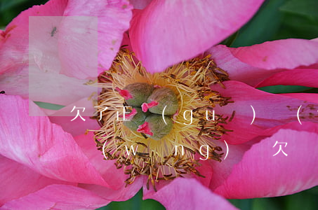 欠了正規(guī)網(wǎng)貸的錢(網(wǎng)貸欠錢了怎么辦)
