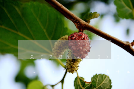 欠了正規(guī)網(wǎng)貸還不上會(huì)有什么后果-欠了正規(guī)網(wǎng)貸還不上會(huì)有什么后果嗎