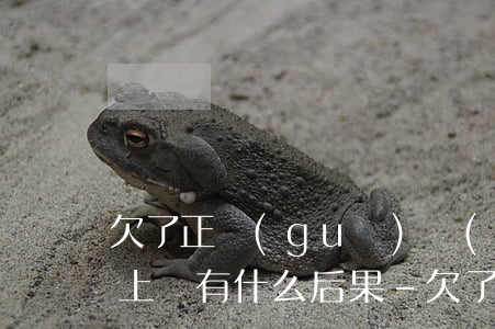 欠了正規(guī)網(wǎng)貸還不上會有什么后果-欠了正規(guī)網(wǎng)貸還不上會有什么后果嗎