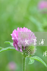 欠了浦發(fā)萬用金幾十萬(浦發(fā)萬用金還清就不給了)