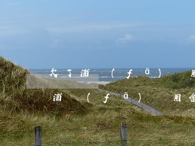 欠了浦發(fā)萬用金(現(xiàn)在浦發(fā)萬用金最新情況)
