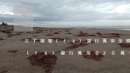 欠了浦發(fā)銀行萬用金被起訴(欠浦發(fā)銀行萬用金20萬不還,他們也找不到我)