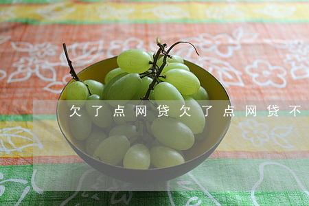 欠了点网贷(欠了点网贷,不敢和老婆说咋办)