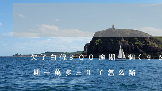 欠了白條300逾期一個(gè)月(白條逾期一萬多三年了怎么辦)