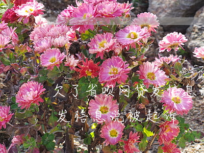 欠了省呗网贷发信息说被起诉(欠了省呗网贷发信息说被起诉)