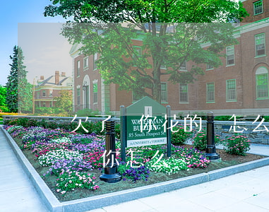 欠了給你花的錢怎么還款(朋友花了你的錢不還你怎么辦)