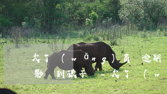 欠了網(wǎng)商貸逾期會(huì)影響到孩子嗎-欠了網(wǎng)商貸逾期會(huì)影響到孩子嗎知乎