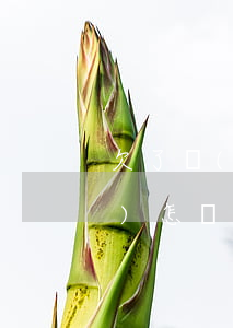 欠了網(wǎng)商貸錢不還會(huì)怎樣(欠網(wǎng)商貸還不上會(huì)怎樣)