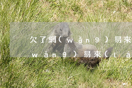 欠了網(wǎng)易來(lái)錢(網(wǎng)易來(lái)錢現(xiàn)在怎么還)