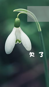 欠了網(wǎng)絡(luò)貸款無力償還(欠了網(wǎng)絡(luò)貸款無力償還)