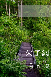欠了網(wǎng)貸100w不還(網(wǎng)貸欠了100多萬)