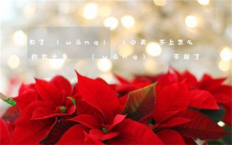 欠了網(wǎng)貸10天還不上怎么樣的(欠十多萬網(wǎng)貸還不起了)