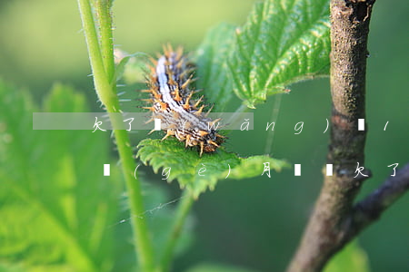 欠了網(wǎng)貸13萬(wàn)三個(gè)月沒還(欠了網(wǎng)貸13萬(wàn)三個(gè)月沒還)