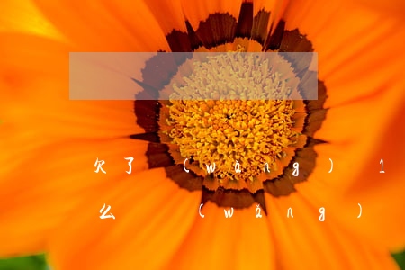 欠了網(wǎng)貸15萬(wàn)怎么辦(網(wǎng)貸欠了五十萬(wàn)怎么辦)