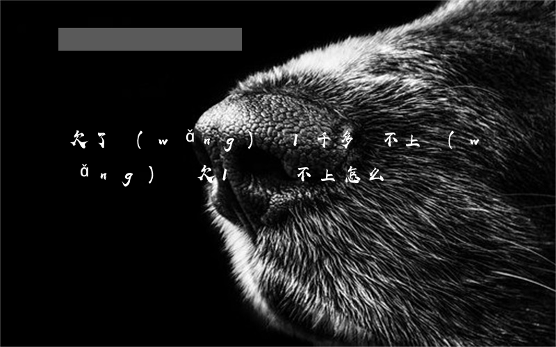 欠了網(wǎng)貸1千多還不上(網(wǎng)貸欠1萬還不上怎么辦)