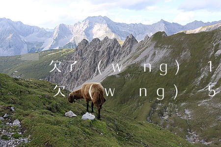 欠了網(wǎng)貸1萬5還不上怎么辦(欠網(wǎng)貸5萬多還不上怎么辦)