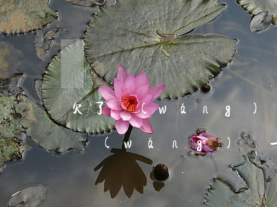 欠了網(wǎng)貸1萬多元怎么辦(欠了網(wǎng)貸一萬多塊錢怎么辦)