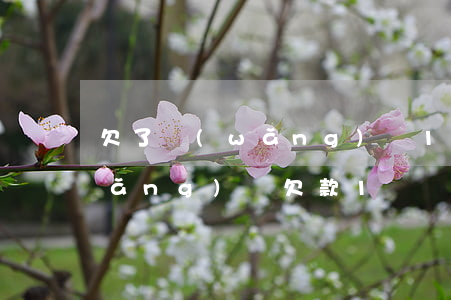 欠了網(wǎng)貸1萬多還不起(網(wǎng)貸欠款1萬還不上會怎么辦)