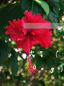 欠了網(wǎng)貸1萬想跑路(欠網(wǎng)貸跑路的怎么樣了)