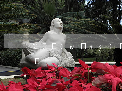 欠了網(wǎng)貸2-3w還不起怎么辦-