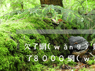 欠了網(wǎng)貸20000怎么辦(欠了8000網(wǎng)貸怎么辦)