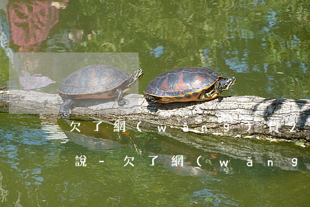 欠了網(wǎng)貸2000怎么跟老公說-欠了網(wǎng)貸2000怎么跟老公說呢