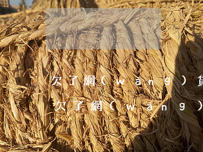 欠了網(wǎng)貸20多萬 和老婆離婚(欠了網(wǎng)貸20多萬 和老婆離婚)