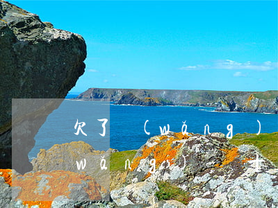 欠了網(wǎng)貸20多萬都逾期(網(wǎng)貸幾十萬全部逾期)