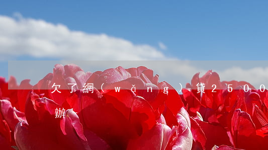欠了網(wǎng)貸2500還不上怎么辦-