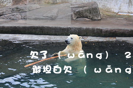 欠了網(wǎng)貸25萬(wàn)不敢坦白(欠網(wǎng)貸30萬(wàn)跟家人坦白)
